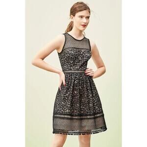 ELIZA J L17419 Women's Black Lace Sleeveless Fit & Flare Dress Size 14W